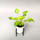 Philodendron Xanadu Golden Babyplant