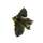 Ficus Tineke