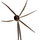 Cordyline Red Star