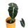 Alocasia frydek L