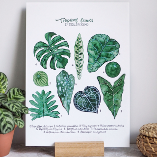 Poster A4 tropical leaves by Frollein Schmid