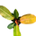 Philodendron Prince of Orange