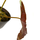 Philodendron atabapoense