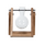 Vase für Steckling / Cutting aus Glas - S, M oder L