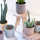 Ceramic Topf Eno sand terra