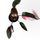 Philodendron Pink Princess